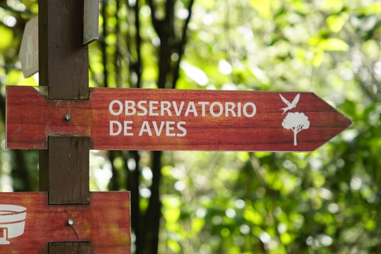 Bogotá se unió a la celebración del Global Big Day 2024 con el avistamiento de aves: Una jornada de diversidad y conciencia ambiental