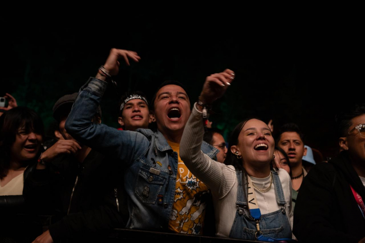 Más de 28.000 turistas, equivalentes al 38% de los asistentes, participaron en el festival Cordillera